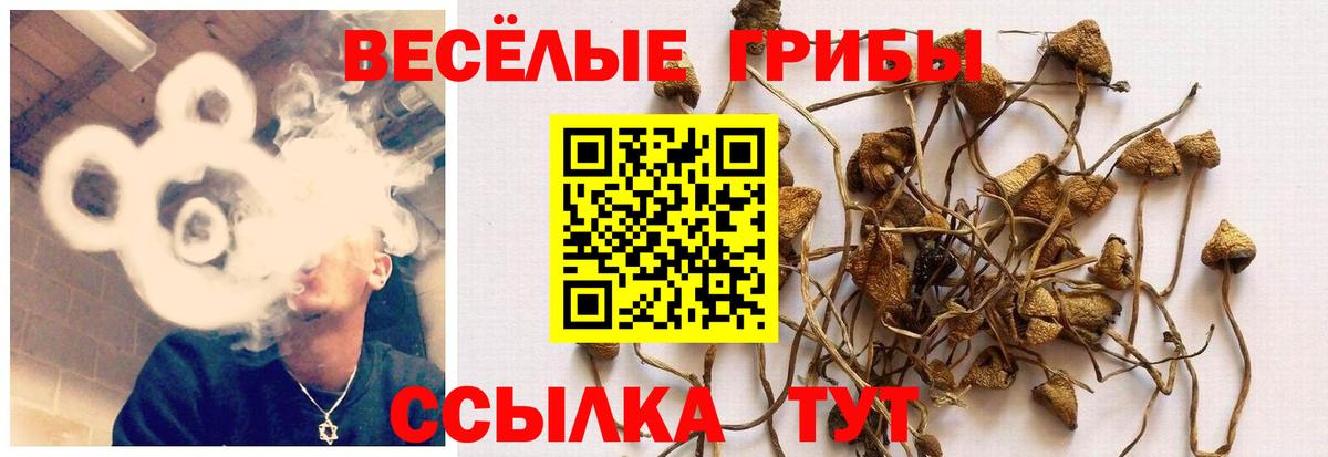 Галлюциногенные грибы мухоморы Чебаркуль
